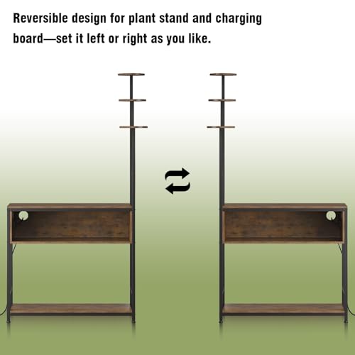 Aquarium Stand with Plant Shelves,20-Gallon Fish Tank Stand with 2-Tier Storage and Display Racks,Metal Frame Reptile Tank Table with Tall Plant Holders,Industrial Rack for Home,Office