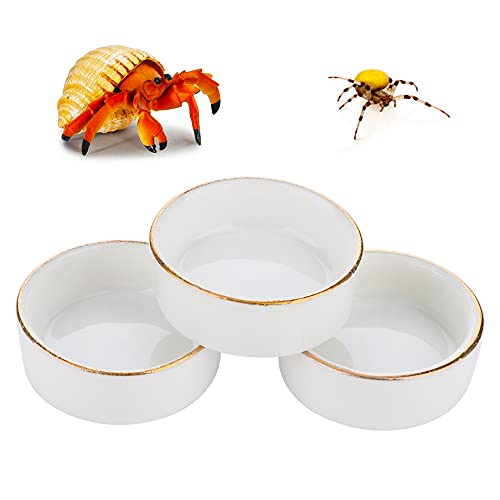 DQITJ Pet Feeder, 6 Pcs Ceramic Water Bowl for Hermit Crab, Small Size, Non-Porous, Anti-Turnover, Suitable for Multiple Pets