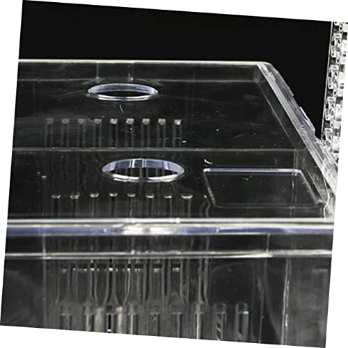 Generic Box Fish Aquarium Sponge Cup Hooks Feeder Catch Isolation Pour Tanks Pool Canister Air Crate Release Dividers Kit Net Pump Holder Transparent