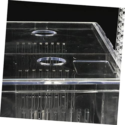 Generic Box Fish Aquarium Sponge Cup Hooks Feeder Catch Isolation Pour Tanks Pool Canister Air Crate Release Dividers Kit Net Pump Holder Transparent