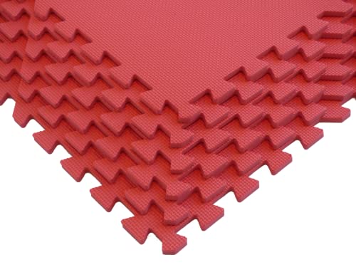 Square Brands Interlocking Gym Floor Tiles - MMA & Home Gym Puzzle Mats | 3/8" Thick Foam Exercise & Play Mat Tiles - size: 24"L x 24"W x 0.4"Th