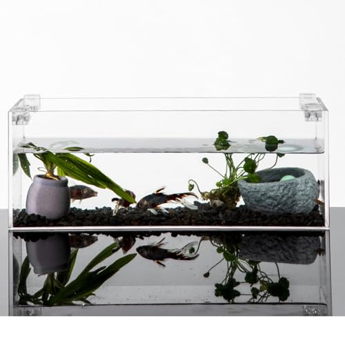 Peiiwdc Aquarium Lid Holder for Various Fish Tanks Aquarium Cover Bracket Clamp Stand Fishtank Habitat Supplies 10PCS Fish Habitat Accessory - color: Suitable for 5mm