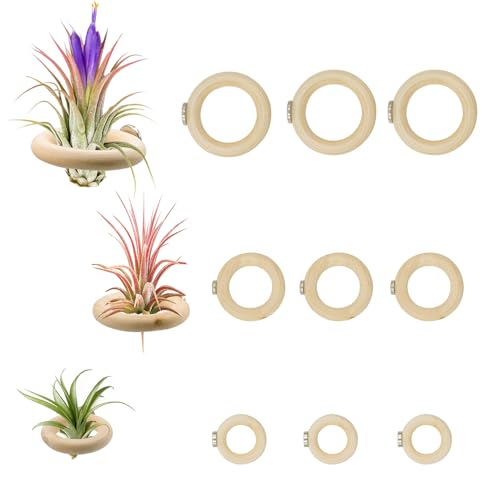 12 Pack Wooden Magnetic Air Plant Holder, 3 Sizes Wall Mount Wooden Ring for Fridge & Metal Wall, Small Air Plant Display Holder for Home Office Decor
