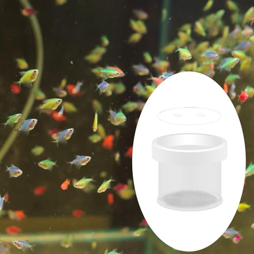 Fish Breeder Box Fish Tank Hatchery Floating Acrylic Transparent Fine Mesh Bottom Isolation Box Incubator for Baby Fish Betta, 12cmx10cm