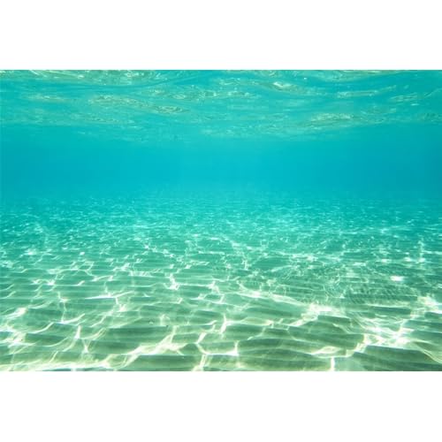 Renaiss 5x3ft Underwater World Backdrop Under The Sea Sunlight Seascape Photography Background Undersea Glittering Seabed Scenery Party Banner Aqua Fish Tank Aquarium Decors Photo Booth Props - color: Sea890, size: 5x3ft