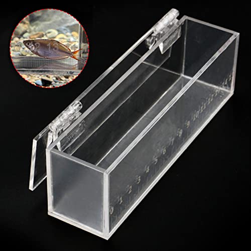 Fish Viewing Box,Acrylic Fish Breeding Box,Fishing Photo Tank,Hatching Boxes, Clear Micro Landscape Fish Tank with Scale