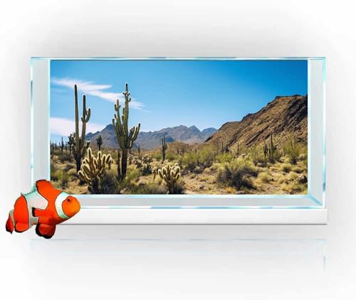 Reptile Habitat Background, Retro Desert Oasis Cactus Terrarium Background 24X12 in Background with 8 EVA Double-Sided Tape - color: desert01, size: 24X12in/60X30cm