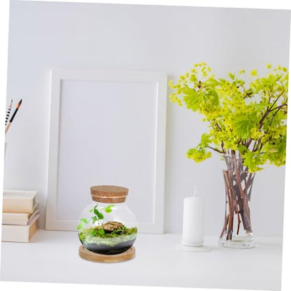 PRETYZOOM Glass Hydroponic Vases with Mat for Desktop Use Small Fish Bowls for Plant Lovers Gardening Decor