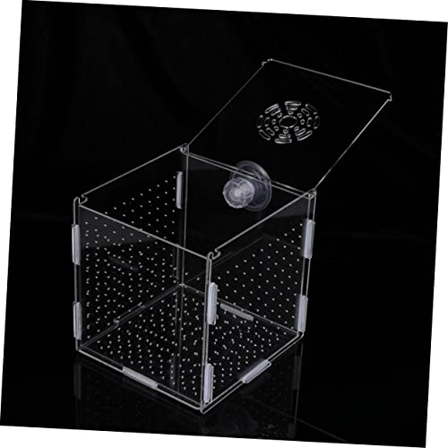 LIOOBO Modern Fish Tank Isolation Box Acrylic Fish Breeding Tank for Betta Guppy Suction Cups and Divider