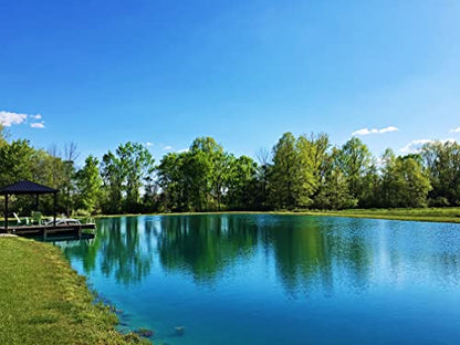 Pond Worx Blue Lake and Pond Dye - 4X Concentrated Liquid Pond Colorant - Treats up to 1 Acre - 1 Quart