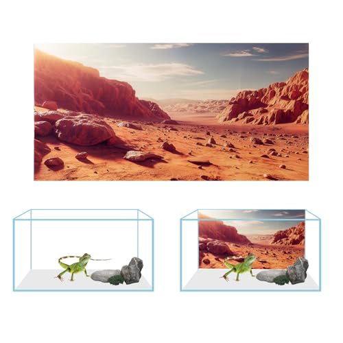 3 Pack Terrarium Background, 48x18 inch Polyester Reptile Background | Cloth Terrarium Background, Gobi Sunshine Cactus Stone & Green Tree Fern Stream Backgrounds, Backgrounds for Reptile Tank - size: 48x18 Inch