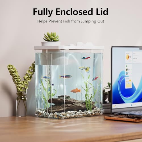 2 Gallon Betta Fish Tank Aquarium Starter Kit with Light and Lid(White) | Premium Acrylic Aquarium with Light and Lid, Crystal Clear Starter Kit for Betta Fish, Shrimp, Snails and Small Fish - color: White, size: 2 Gallon