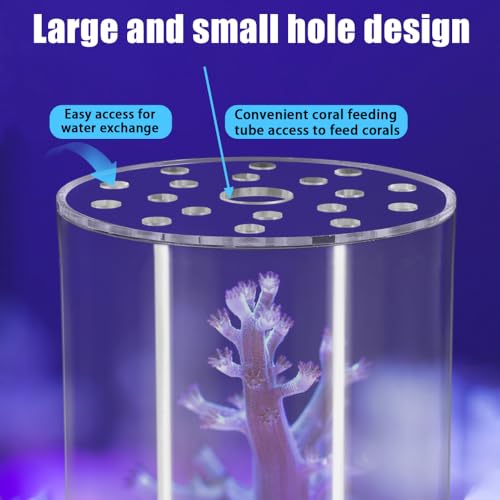 DONGKER Coral Feeder Cover, Transparent Acrylic Coral Breeding Protection Cover Avoid Food Floating Around for Aquarium Fish Tank(80mm,100mm,120mm) - size: CFC-80