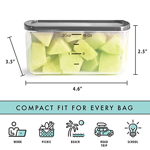 Fit & Fresh Small Plastic Containers With Lids 16 oz, Small Snack Containers With Lids For Adults and Kids, Reusable Leakproof Dressing and Condiment Containers With Two Attachable Ice Packs, 4PK, Light - size: 2 Cup