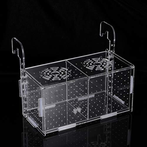 Aquarium Fish Breeding Box - Transparent Acrylic Fish Tank Hatchery Hanging Incubator for Shrimp Clownfish (Hook 201011cm)