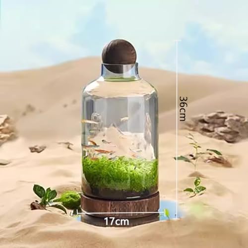 Glass Aquarium with Wooden Base, Microecosphere Fish Tank, Transparent Bottle-Shaped Batta Fish Bowel, Micro-Landscape Ecological Aquarium, Modern Glass Goldfish Tank,M - color: M