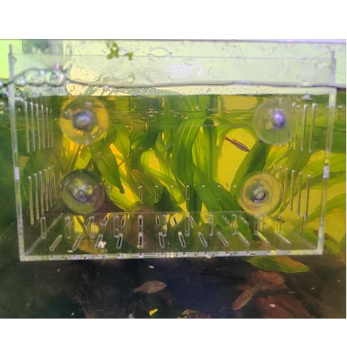Acrylic Fish Tank Isolation Box 6"x4"x4" - No Assembly - Clear View Breeding Hatchery with Suction Cups & Feeding Kit (Fish Feeder - Pipette Included