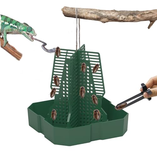 Chameleon Feeder Bearded Dragon Feeder for Mounted Insect（Large） | Plastic,Anti-Escape,Crested Gecko Tank Accessories,with Rope and Tweezers,for Lizard Bearded Dragon Gecko Frog - size: Large