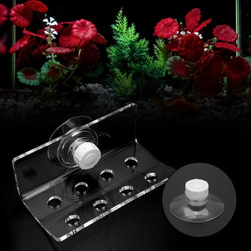 Transparent Acrylic Corals Frag Rack 8 Holes with Suction Cup Fish Container Corals Support Bracket Aquarium Corals Holder for Saltwater Tank