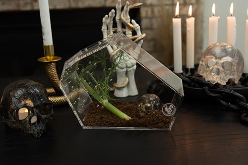 Coffin Shaped Jumping Spider Enclosure 9.5”x7.5”x5” Tarantula Enclosure Reptile Terrarium w/Sliding Magnetic Door. Great Reptile Tank Acrylic Aquarium Spider Box for Terrestrial or Arboreal Animal. - size: Coffin Jumping Spider Enclosure 9.5"x7.5"x5"