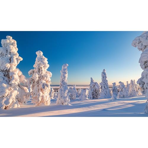 Winter Snow Scene Fish Tank Background Sunrise Snow Covered Wonderland Aquarium Background Wintry Frosty Pine Trees Natural Landscape Terrarium Backgrounds Winter Snowy View Tank Backgrounds 24x12in - color: Light Blue_White, size: 24(W)x12(H)inches/ 60(W