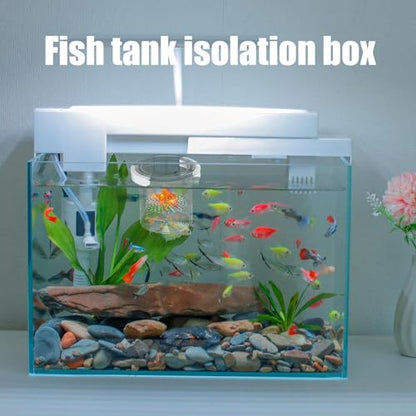 Fish Tank Breeder Box Fish Tank Isolation Box | Feeding Container Nursery Divider for Fry Guppy Acclimation Betta Angelfish Shrimp - color: Circular