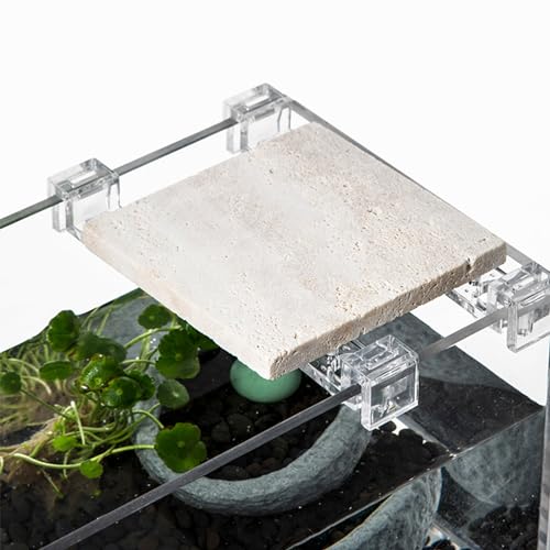 Peiiwdc Aquarium Lid Holder for Various Fish Tanks Aquarium Cover Bracket Clamp Stand Fishtank Habitat Supplies 10PCS Fish Habitat Accessory - color: Suitable for 5mm