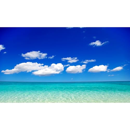 Ocean Sea Fish Tank Background Tropical Paradise Ocean Aquarium Background Sunny Seascape Terrarium Backgrounds Sunny Blue Sky Cloudy Seacoast Sandbeach Sea Waves Reptile Tank Backgrounds 24x16in - color: Aqua Blue, size: 24(W)x16(H)inches/ 60(W)*40cm(H)