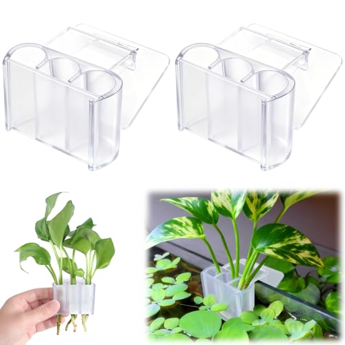 sogiv 3 Holes Aquatic Plant Cups, Hanging Aquarium Plant Holder for Fish Tank Plants Potting, Aquascape Accessories Decorations, Clear, 2 Pcs - color: Clear, 2 Pcs