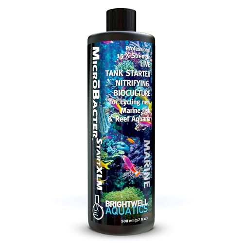 Brightwell Aquatics MicroBacter Start XLM - Concentrated Freshwater Nitrifying Bacteria - Quick Start Fish Tank Starter, Lift Microbe Levels & Water Filtering - Aquarium Water Treatments, 16.9 fl oz - size: 500-ML