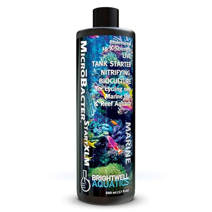Brightwell Aquatics MicroBacter Start XLM - Concentrated Freshwater Nitrifying Bacteria - Quick Start Fish Tank Starter, Lift Microbe Levels & Water Filtering - Aquarium Water Treatments, 16.9 fl oz - size: 500-ML