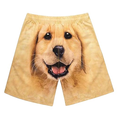Ctreela Men's Funny Dog 3D Graphic Yellow Loose Fit Summer Beach Shorts - color: Khaki, size: 4X-Large