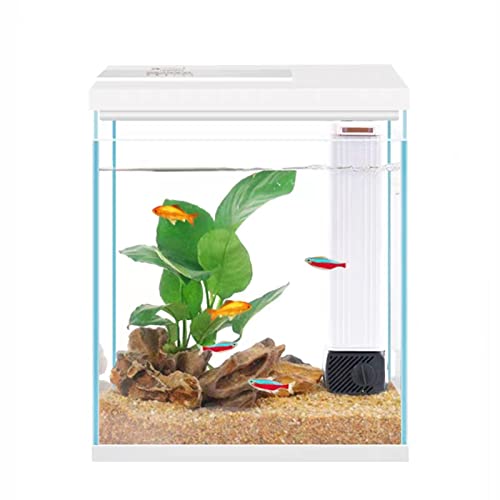 Pronetcus Betta Fish Tank, 2 Gallon Glass Aquarium Starter Kit, Small Fish Tank with Filter and Light.(White) - color: White, size: 2 Gallon