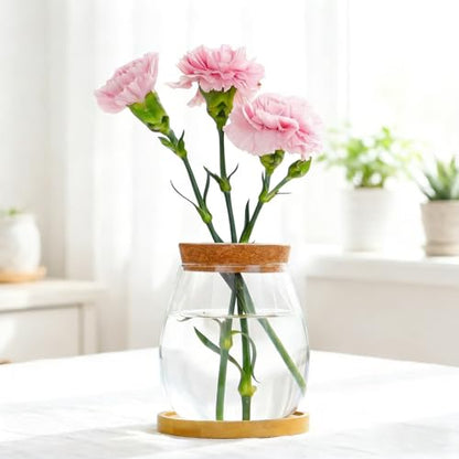 0.5 Gallon Fish Bowl Betta Fish Tank Glass Aquarium with Wood Lid & Bamboo Stand – Hydroponic Plants Planter, Glass Vase, Gift