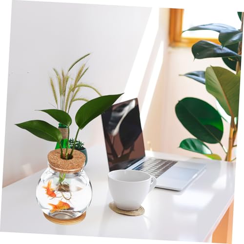 Desktop Hydroponic Glass Fish Bowl with Cushion Small Betta Fish Tank for Plant Terrarium Decor with Mat for Home and Office