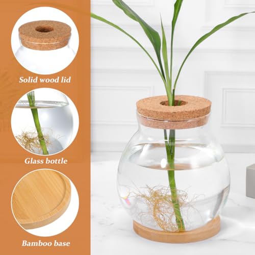 POPETPOP Desktop Glass Fish Bowl - Round Small Fish Tank | with Wood Stopper & Bamboo Mat, Clear Glass Betta Fish Bowl for Succulent Plants, Hydroponic Air Plant (5.5X5.1 Inch)