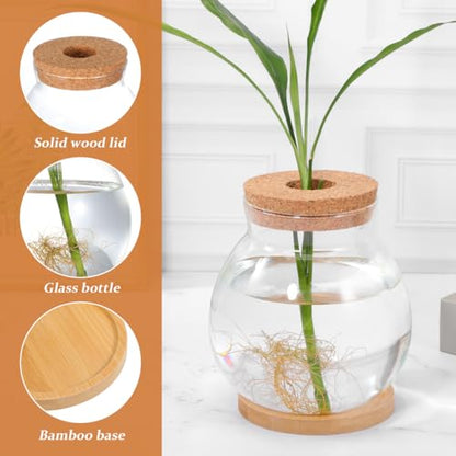 POPETPOP Desktop Glass Fish Bowl - Round Small Fish Tank | with Wood Stopper & Bamboo Mat, Clear Glass Betta Fish Bowl for Succulent Plants, Hydroponic Air Plant (5.5X5.1 Inch)