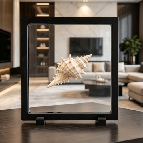 4pcs 3D Floating Display Stand for Seashell, 7x7x0.8in 3D Floating Display Case Coins Displays Frame Case with Stand for Seashells Jewelry Pins Coins Stones (Square) - style: square
