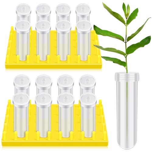 Beeveer 2 Short Peg Rack with 16 Large Floral Tubes Floral Water Tubes for Feeding Fresh Milkweed Cuttings Host Plants Nectar Flowers Habitat Supplies