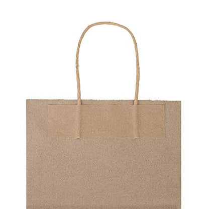 bagmad 100 Pack 8x4.75x10 Inch Plain Medium Paper Bags with Handles Bulk, Brown Kraft Craft Gift Bags, Grocery Shopping Retail Birthday Party Favors Wedding Sacks (Natural Brown, 100pcs) - color: Brown