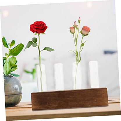 Abaodam Glass Flower Tubes Cleaning Brush Plant Terrarium Air Plant Holder for Home Decor