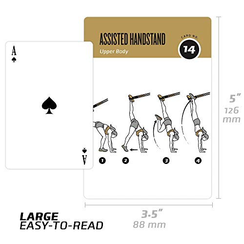 NewMe Fitness Suspension Workout Cards, Instructional Fitness Deck for Women & Men, Beginner Fitness Guide to Training Exercises at Home or Gym (Suspension, Vol 2) - style: Suspension Vol2
