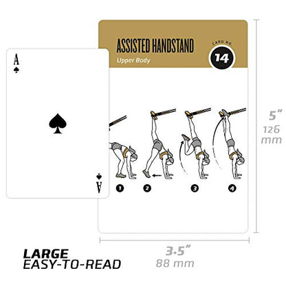 NewMe Fitness Suspension Workout Cards, Instructional Fitness Deck for Women & Men, Beginner Fitness Guide to Training Exercises at Home or Gym (Suspension, Vol 2) - style: Suspension Vol2
