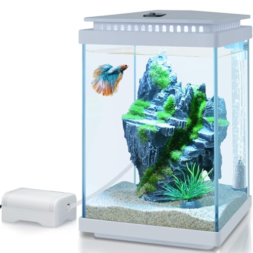 Small Glass Aquarium, 1 Gallon Desktop Fish Tank, Betta Fish Tank, Mini Aquarium Starter Kit with Air Pump LED Light Decoration Water Changer Fish Net (White) - color: White