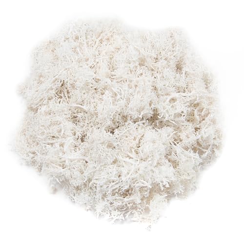 3.5oz Fake White Moss for Crafts | Realistic Artificial Reindeer Moss for Art, Floral Project, Table Centerpieces, Fairy Garden Accessories, Wall Decor - color: White