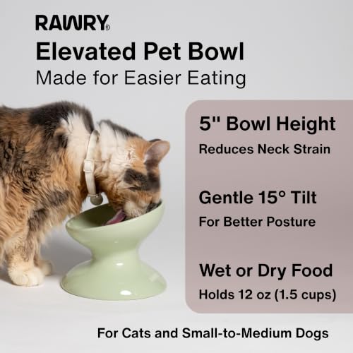 RAWRY Raised Ceramic Cat Bowl, Elevated Tilted Cat Bowl, Wide Shallow Cat Dish, Whisker Fatigue Cat Bowl, Dishwasher & Microwave Safe for Wet or Dry Food, Cats & Small Dogs, 12 oz (Plum) - color: Plum