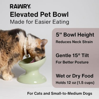 RAWRY Raised Ceramic Cat Bowl, Elevated Tilted Cat Bowl, Wide Shallow Cat Dish, Whisker Fatigue Cat Bowl, Dishwasher & Microwave Safe for Wet or Dry Food, Cats & Small Dogs, 12 oz (Plum) - color: Plum