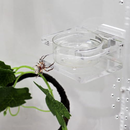Jumping Spider Feeding Dish, Transparent Acrylic Magnetic Tiny Tarantula Food Bowl Water Dish, Enclosure Feeder Accessories for Jumping Spider Tarantula Small Spider - 2 × 1.8 Inch - size: 1 Pack