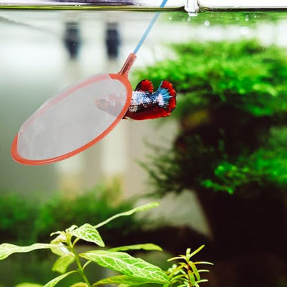 GALPADA 10pcs Aquarium Fish Landing Nets Small Fine Mesh Fish Tank Net Portable Fishing Gear for Outdoor Catching and Aquarium Cleaning Random Color