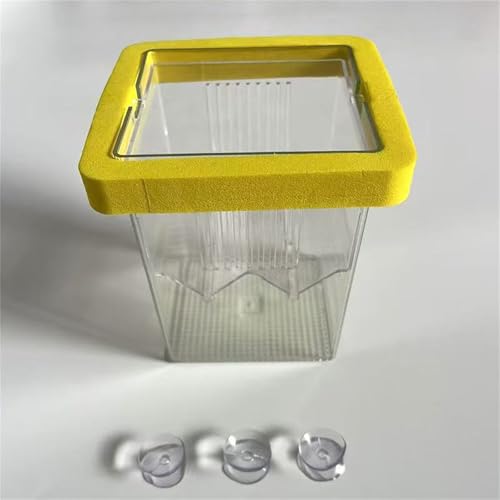 Baby Fish Breeding Box Clear Isolation Aquarium Hatchery Incubator with Suction Cups for Newborns Shrimp Fish Hatchery - color: Blue